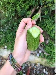 巫溪吃瓜视频,揭秘当地特色美食背后的故事