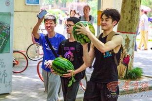 红领巾免费吃瓜视频,揭秘网络短视频背后的趣味与争议