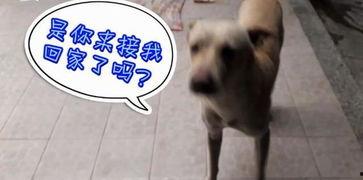 吃瓜场面视频,吃瓜群众狂欢，一场视觉盛宴