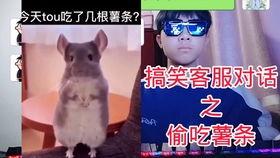 憋笑挑战视频爆笑吃瓜,爆笑吃瓜，笑到肚子疼的欢乐盛宴