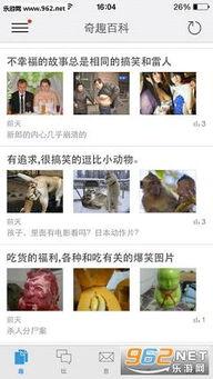 吃瓜奇趣百科视频,趣味视频背后的秘密大公开